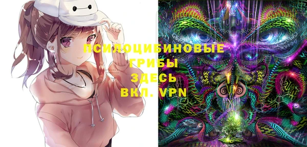 бутират Иннополис