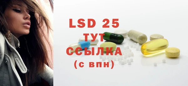 гашик Инта