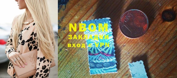 гашик Инта