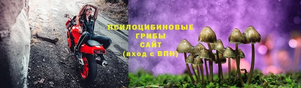 бутират Иннополис