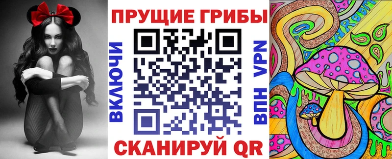 Галлюциногенные грибы прущие грибы  Купить  Бородино 